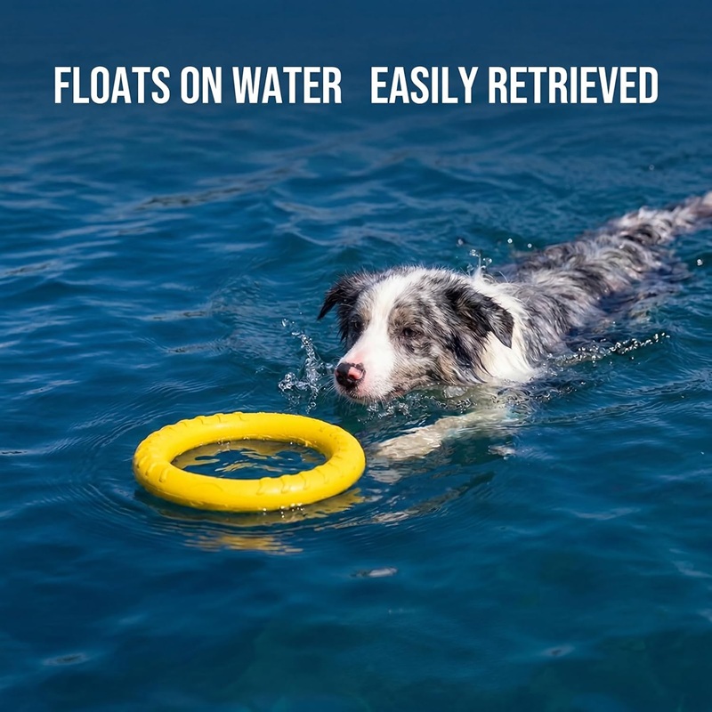 Indestructible Dog Chew Toy - Brinquedos para Cães: Discos Voadores de