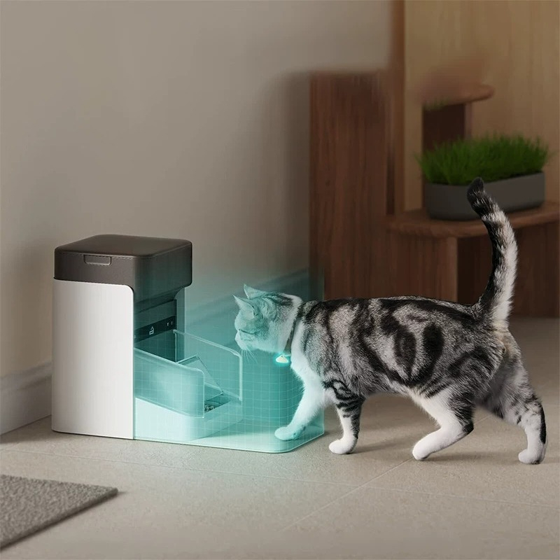 Pet Feeders - Alimentador Automático para Animais de Estimação