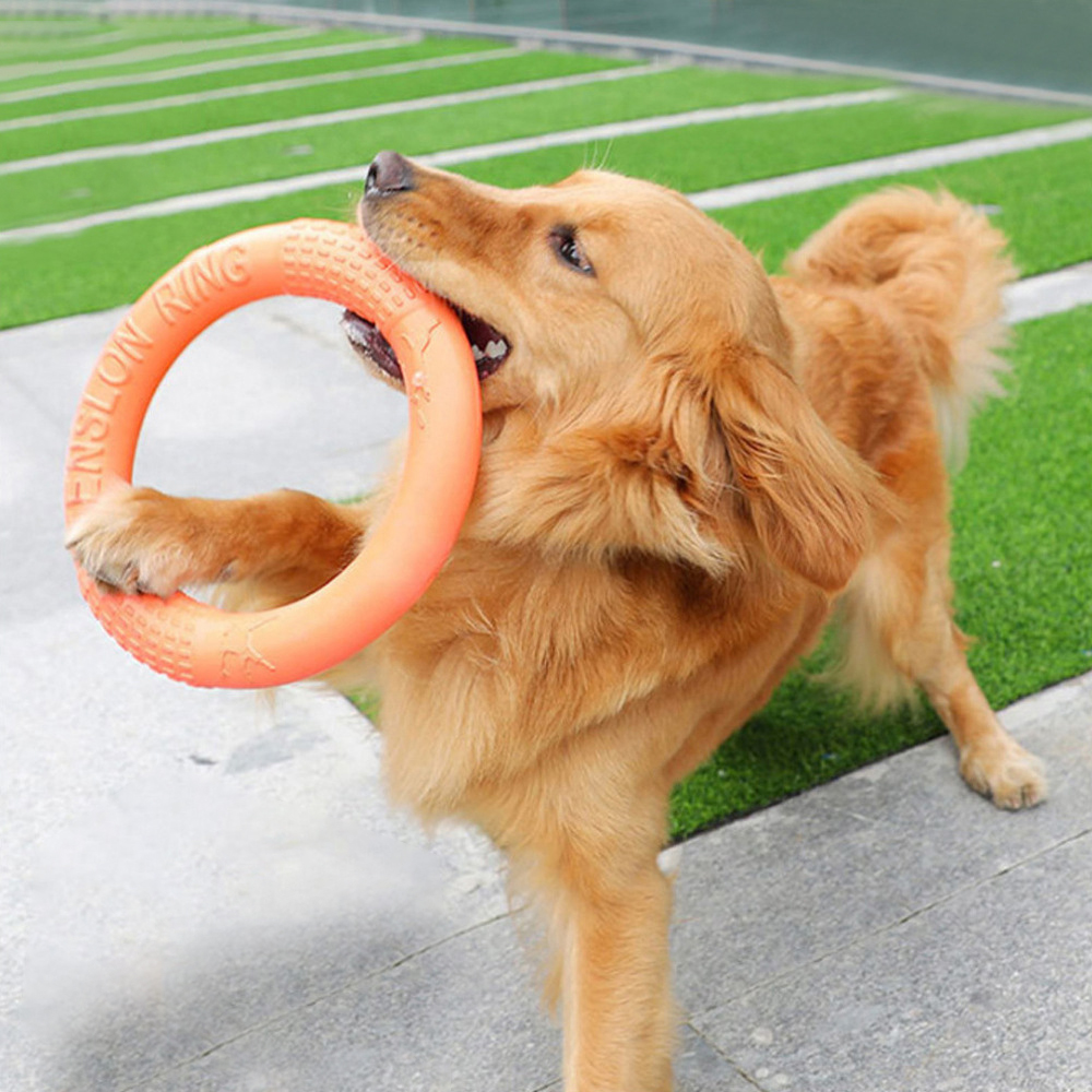 Laranja voando disco formação  - Indestructible Dog Chew Toy avaliação e preço