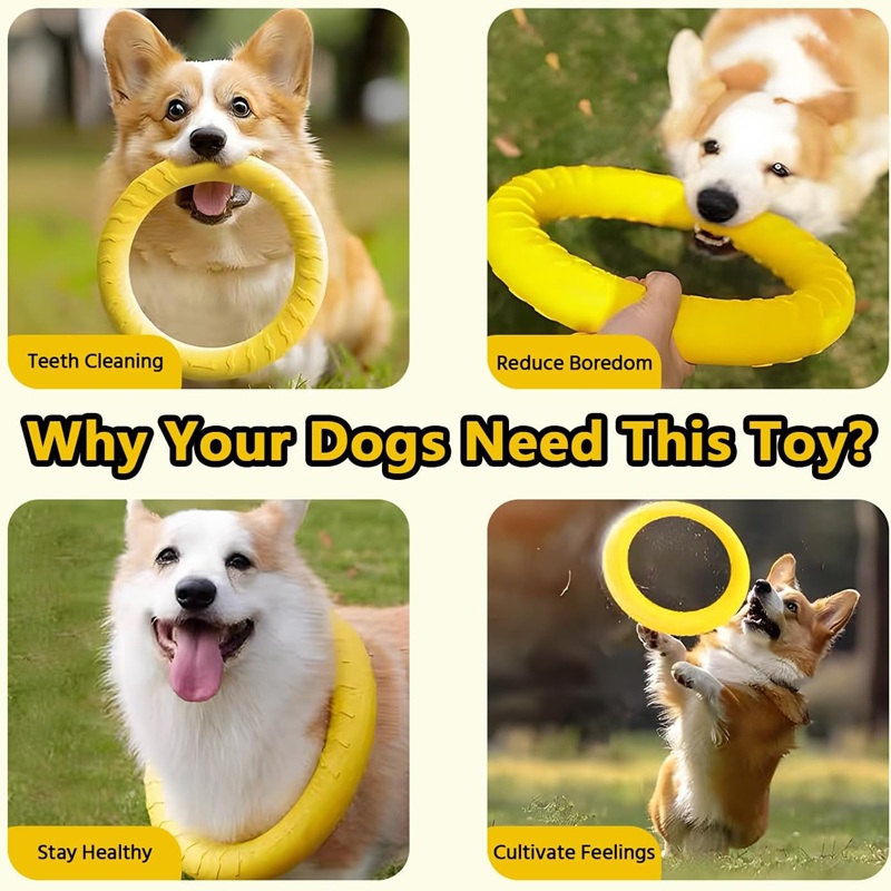 Brinquedos para Cães: Discos V - Indestructible Dog Chew Toy avaliação e preço