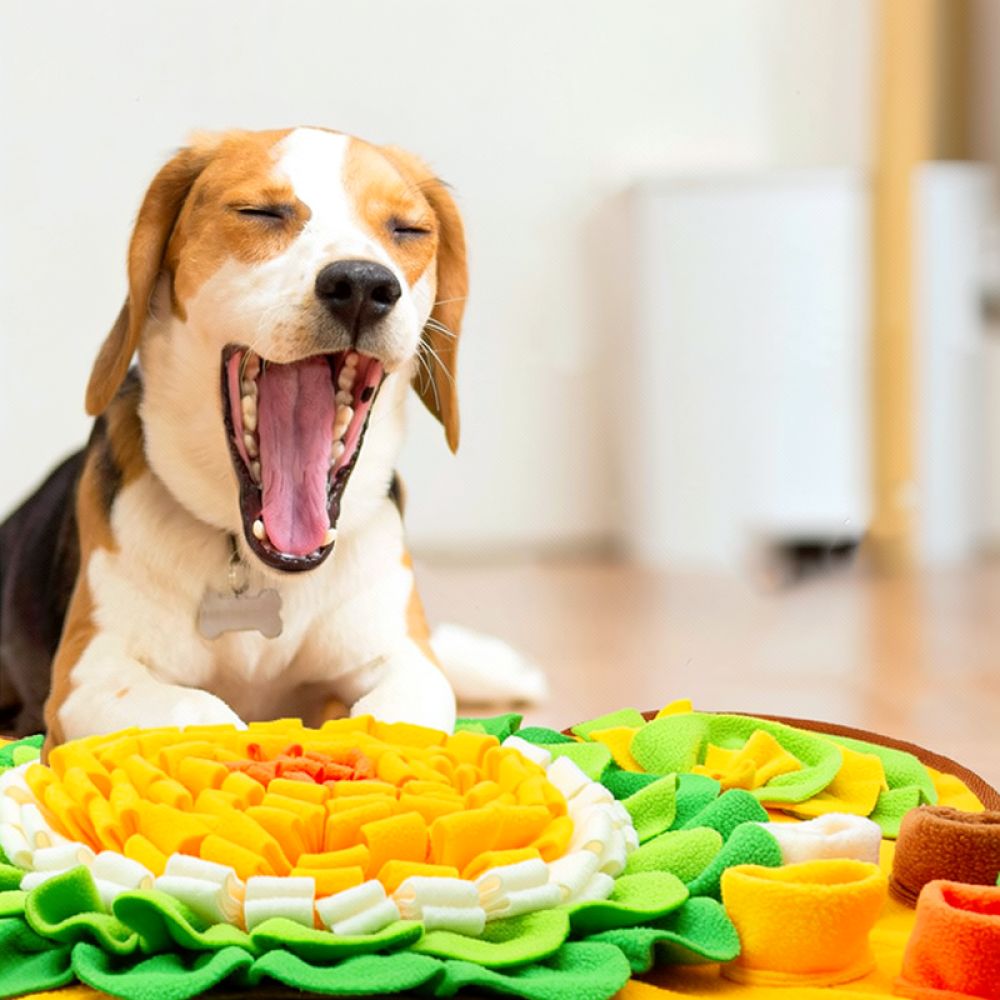 Tapete de treino para cães com - Dog Puzzle Feeder Toy avaliação e preço