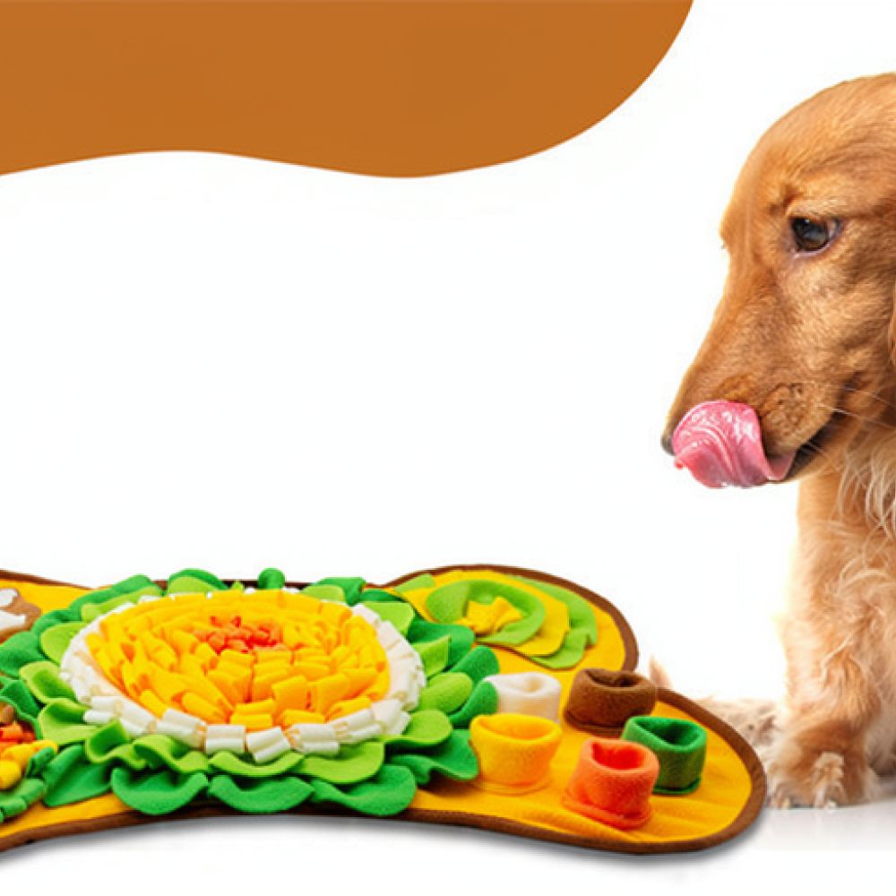 Tapete de treino para cães com - Dog Puzzle Feeder Toy avaliação e preço